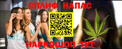 таблы Будённовск