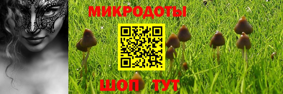 Галлюциногенные грибы Psilocybine cubensis Черемхово