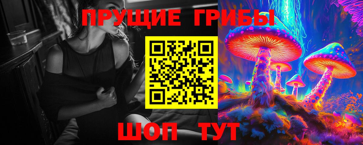 Галлюциногенные грибы MAGIC MUSHROOMS  Галлюциногенные грибы Magic Shrooms  Черемхово  Вход с VPN 