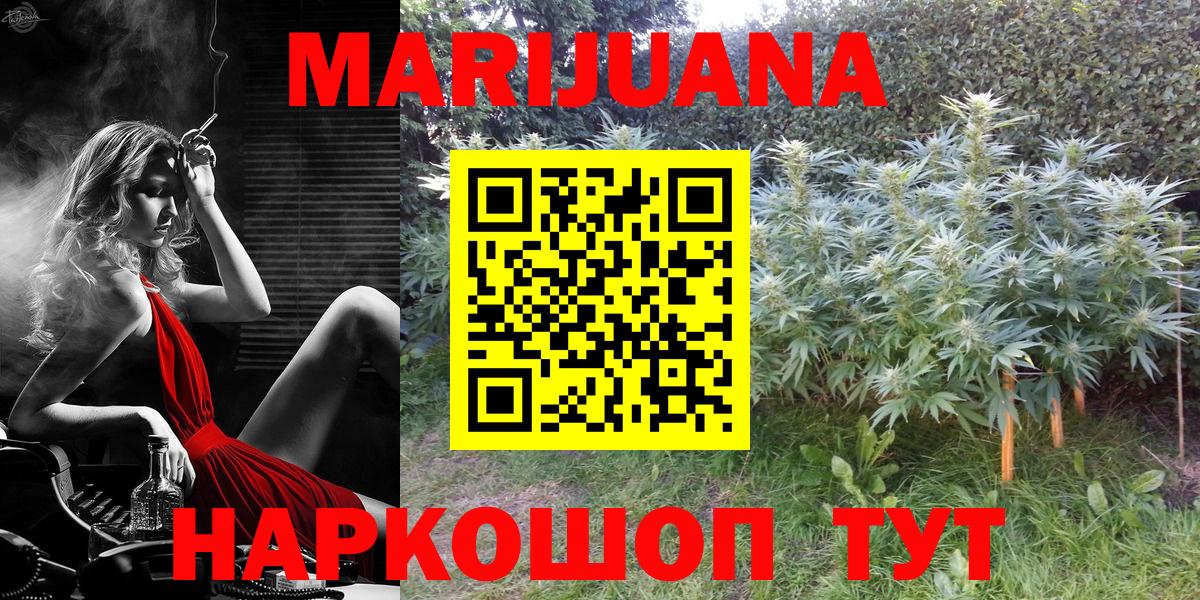 Каннабис планчик Черемхово